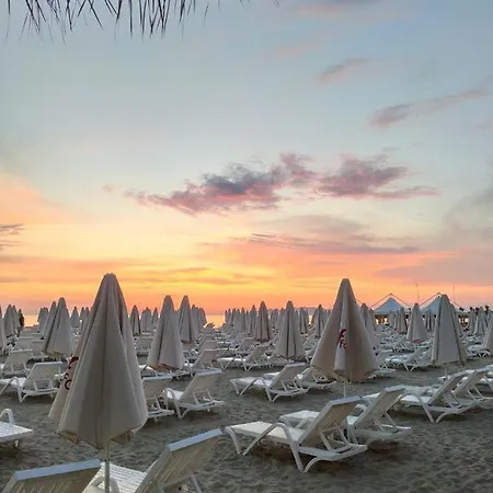 Palm Street Durres